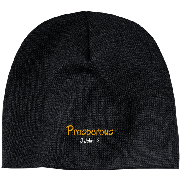 Prosperous 3 CP91 100% Acrylic Beanie